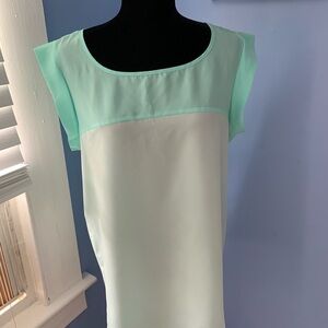 Michael Brandon mint color Blouse